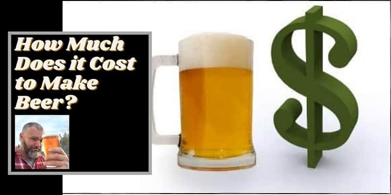 A mug of beer and a dollar sign with the words how much does it cost to make beer