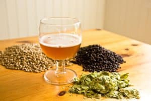 Homebrew grains and hops