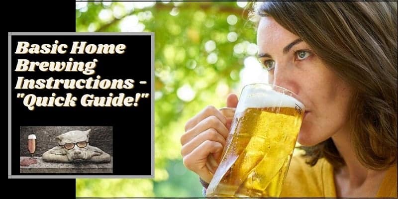 A woman drinking homebrew beer with the words home brewing instructions typed next to her