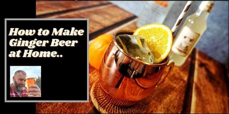 A ginger beer on a table with lemon in it and the words how to make a ginger beer at home wirtten next to the beer..