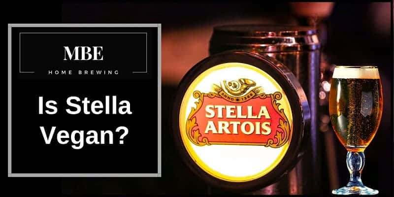 a pint of stella artois next to a beer tap, besides the words is stells vegan.