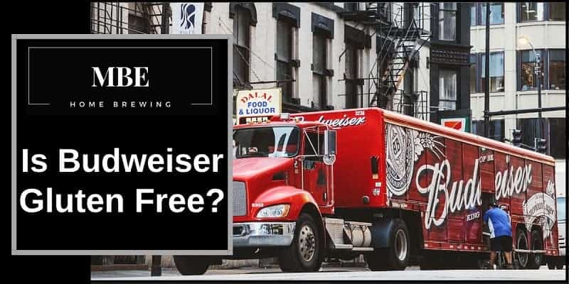 A budweiser delivery truck next to the words is budweiser gluten free.