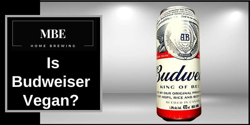 A can of budweiser next to the words is budweiser vegan.